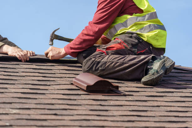 Best Roof Waterproofing Services  in Ddanelle, AR