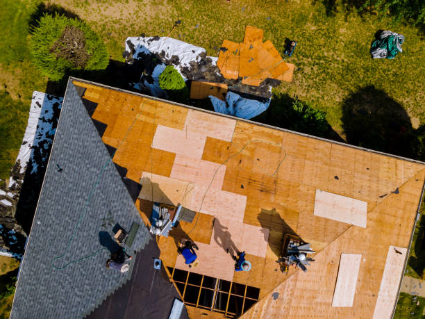 Best Roofing Contractor Near Me  in Ddanelle, AR