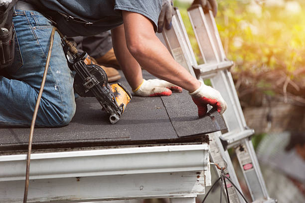 Best Storm Damage Roof Repair  in Ddanelle, AR