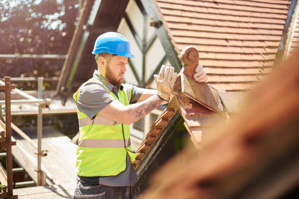 Best Best Roofing Contractors  in Ddanelle, AR